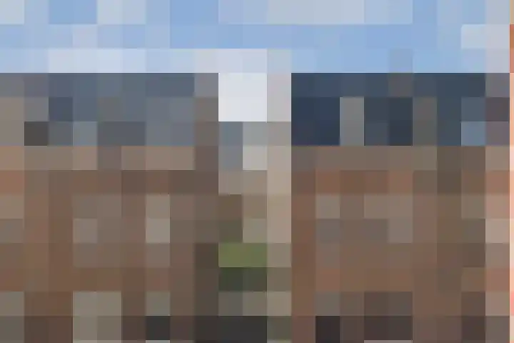 Balthasar Floriszstraat 9 2 Amsterdam thumbnail 26