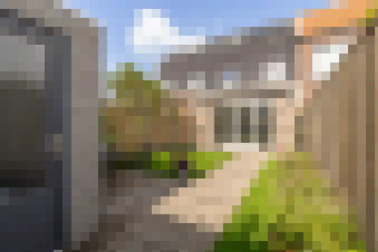 Balthasar van Berckenrodeweg 10 Middenbeemster thumbnail 28