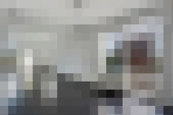 Balthasarschans 11 Zoetermeer thumbnail 40
