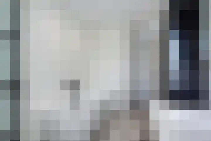 Balthasarschans 11 Zoetermeer thumbnail 60