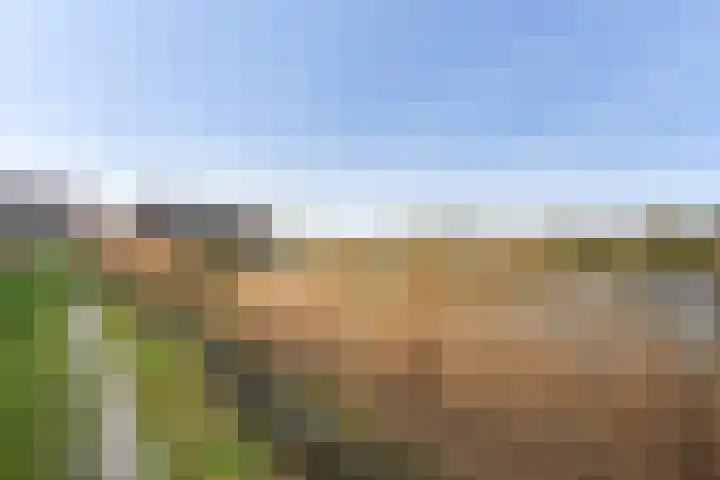 Balthasarschans 11 Zoetermeer thumbnail 61