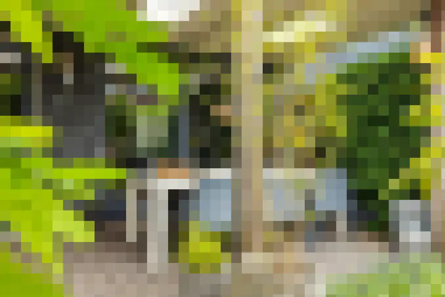 Balthuskade 5 Sneek thumbnail 24
