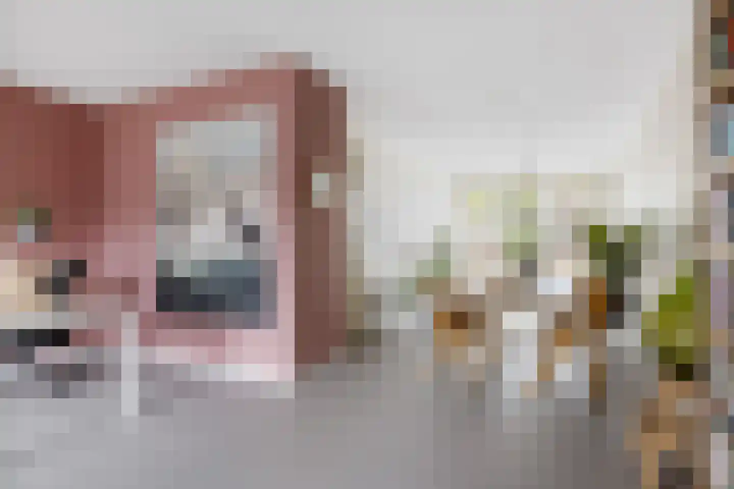 Balthuskade 5 Sneek thumbnail 34