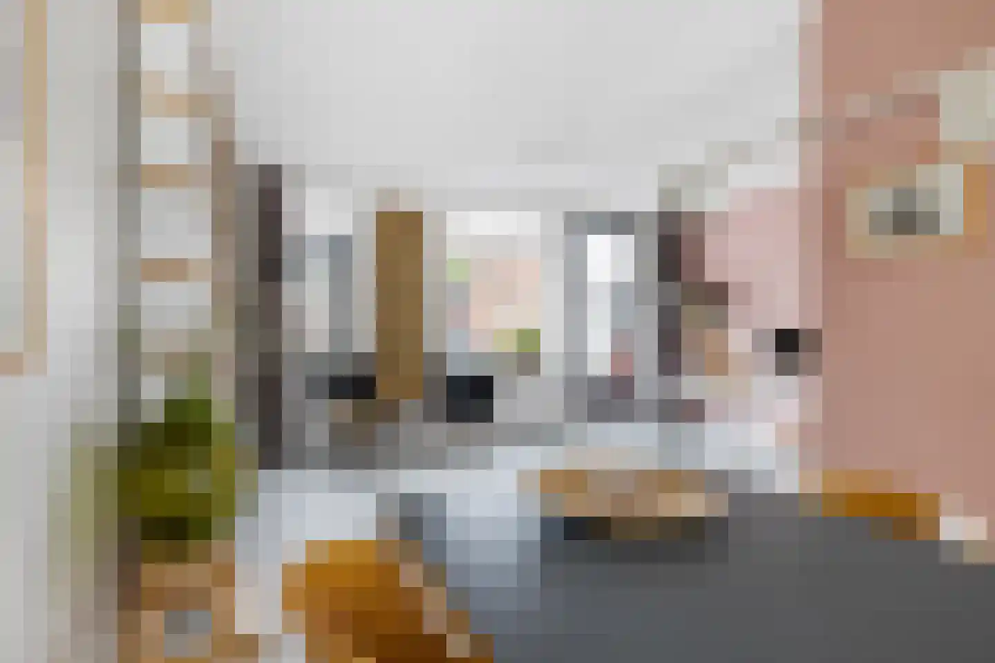 Balthuskade 5 Sneek thumbnail 36