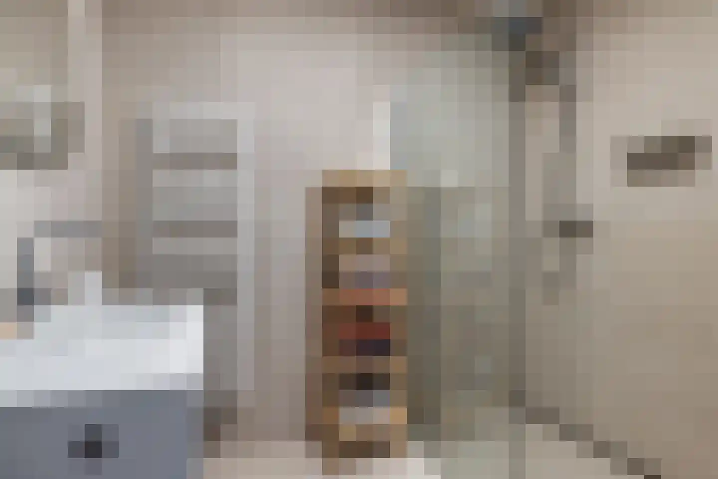 Balthuskade 5 Sneek thumbnail 45