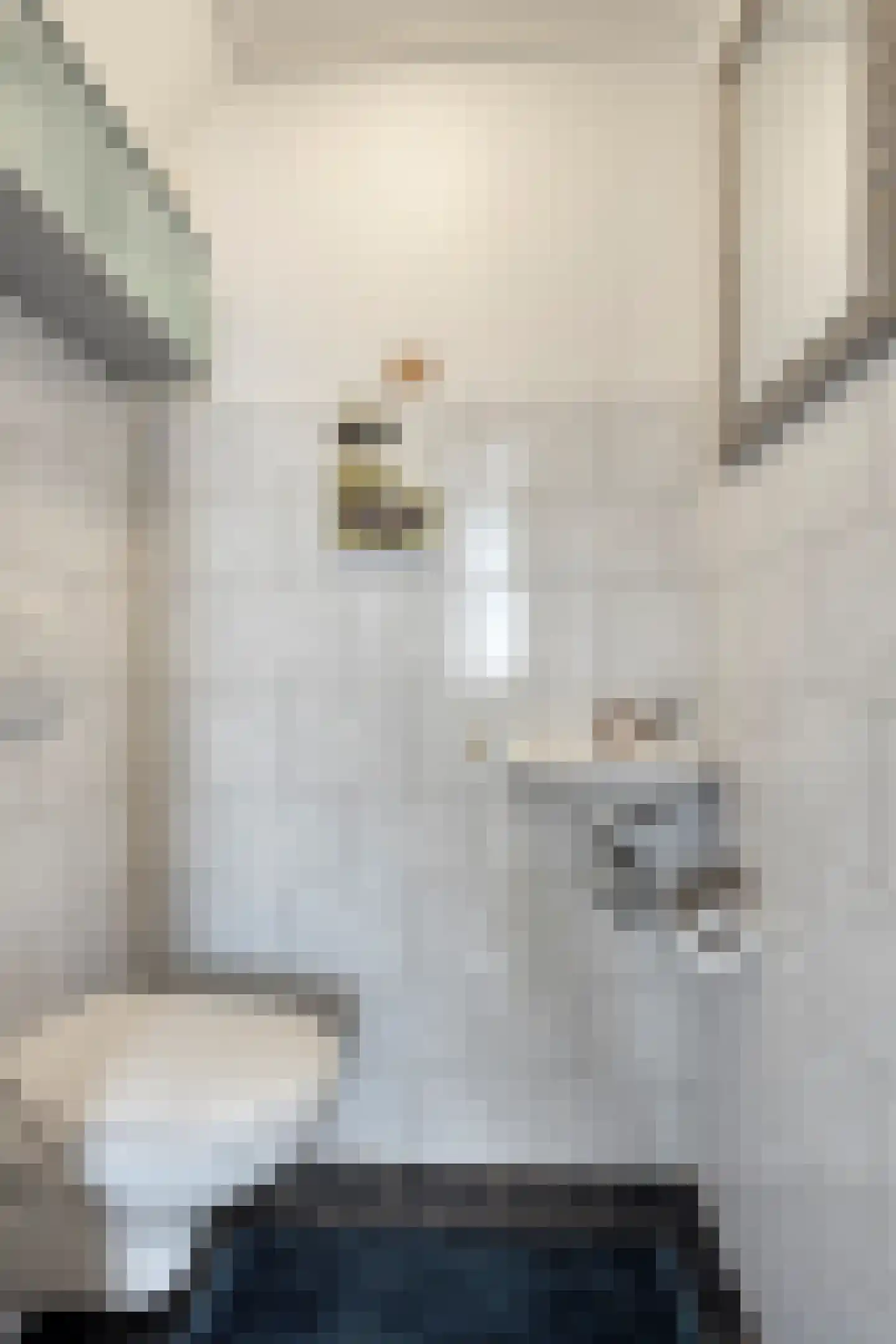 Balthuskade 7 Sneek thumbnail 13