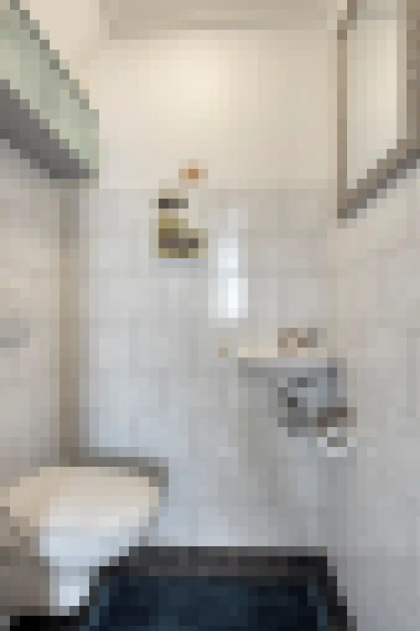 Balthuskade 7 Sneek thumbnail 20