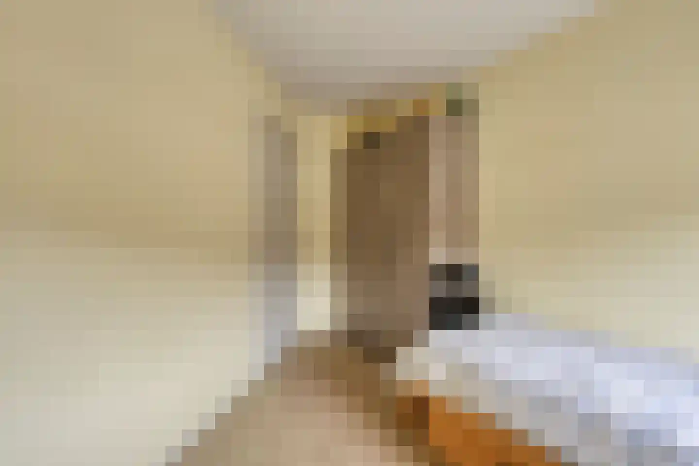 Balthuskade 7 Sneek thumbnail 28