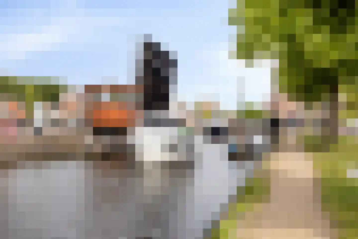 Balthuskade 7 Sneek thumbnail 29
