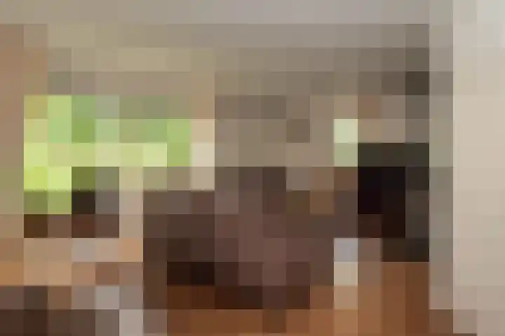 Baltinksweg 15 Nijverdal thumbnail 10