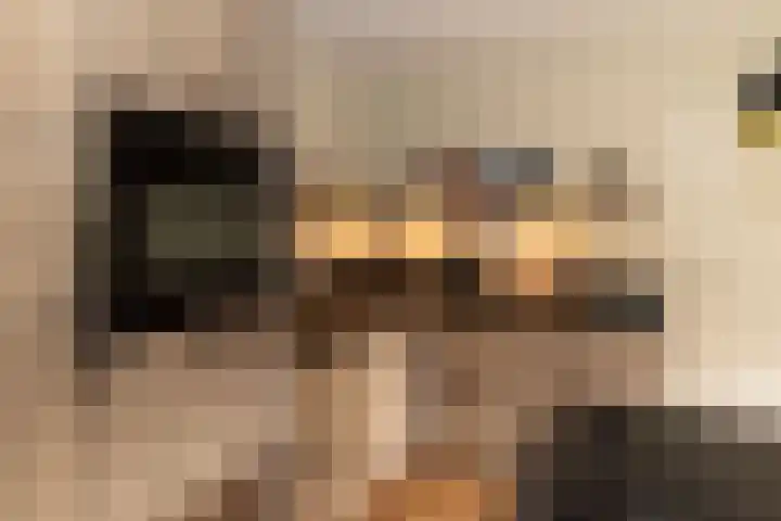 Baltinksweg 15 Nijverdal thumbnail 11