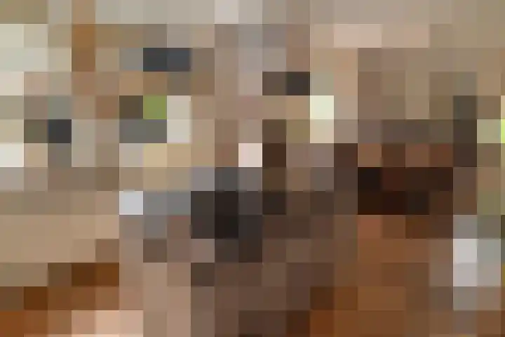 Baltinksweg 15 Nijverdal thumbnail 13