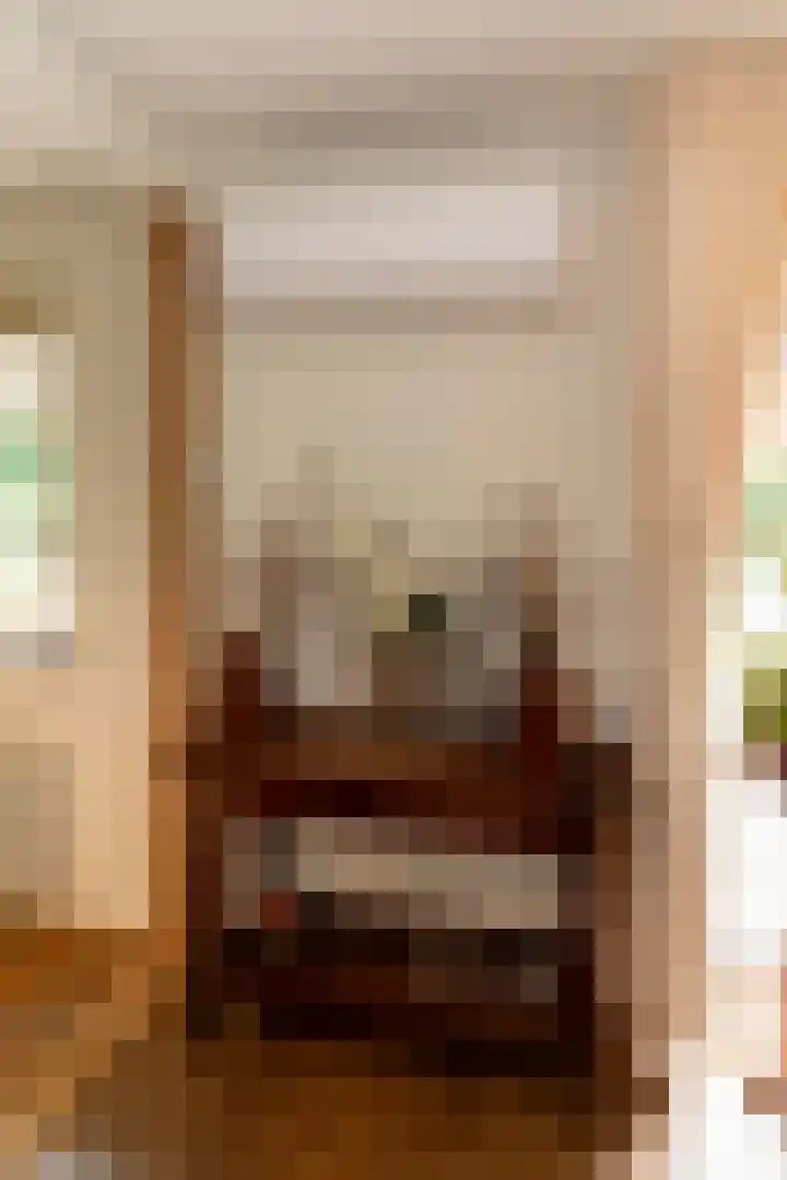 Baltinksweg 15 Nijverdal thumbnail 16