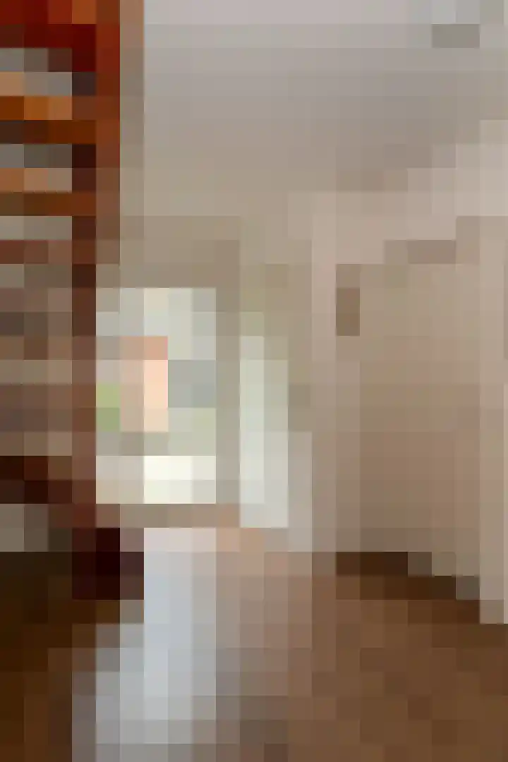 Baltinksweg 15 Nijverdal thumbnail 17