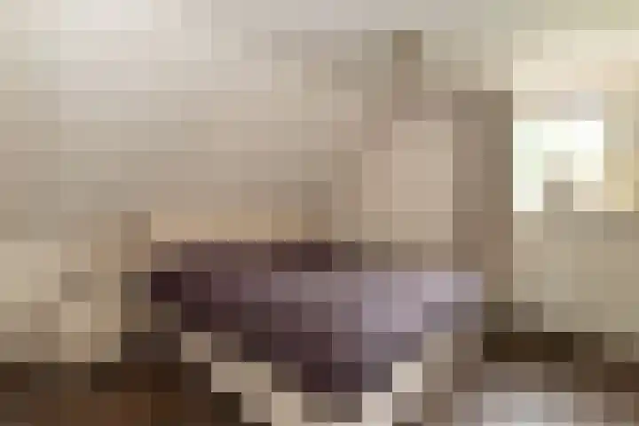 Baltinksweg 15 Nijverdal thumbnail 20