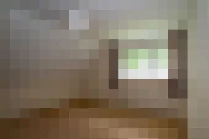 Baltinksweg 15 Nijverdal thumbnail 22
