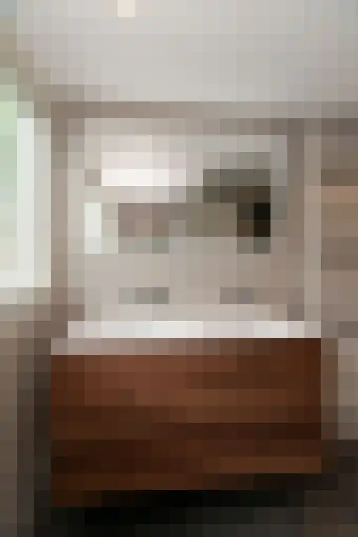Baltinksweg 15 Nijverdal thumbnail 25