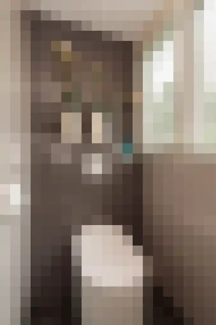 Baltinksweg 15 Nijverdal thumbnail 27
