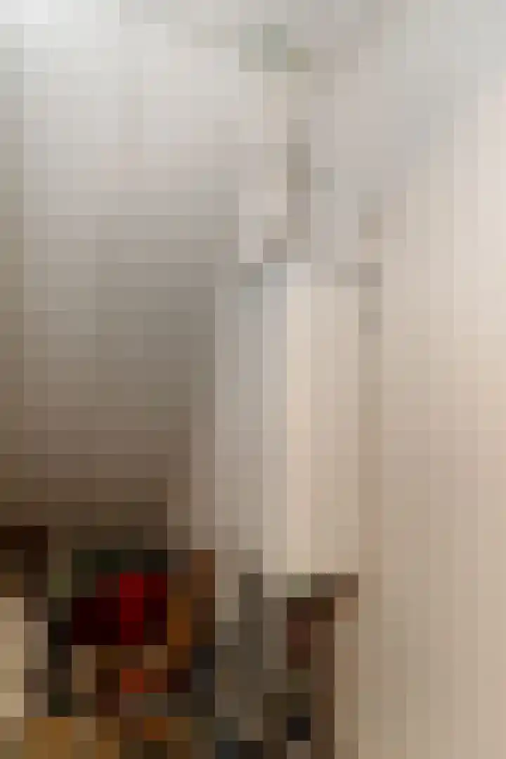 Baltinksweg 15 Nijverdal thumbnail 29