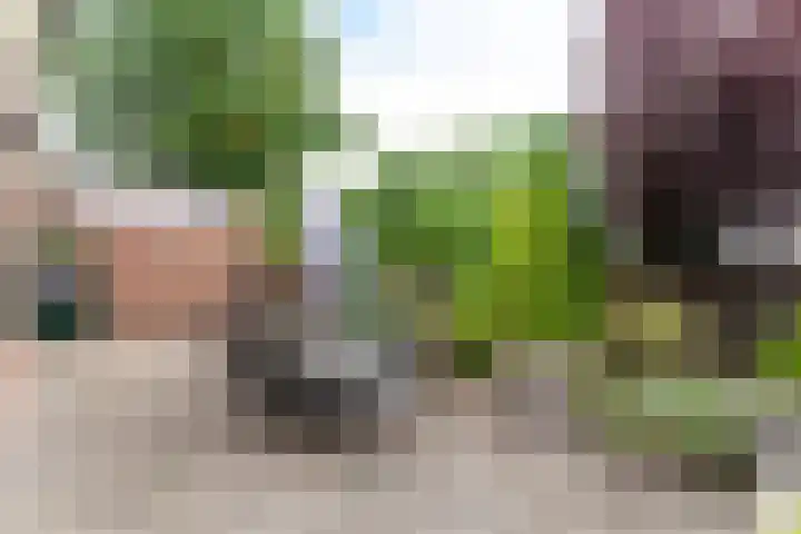 Baltinksweg 15 Nijverdal thumbnail 30