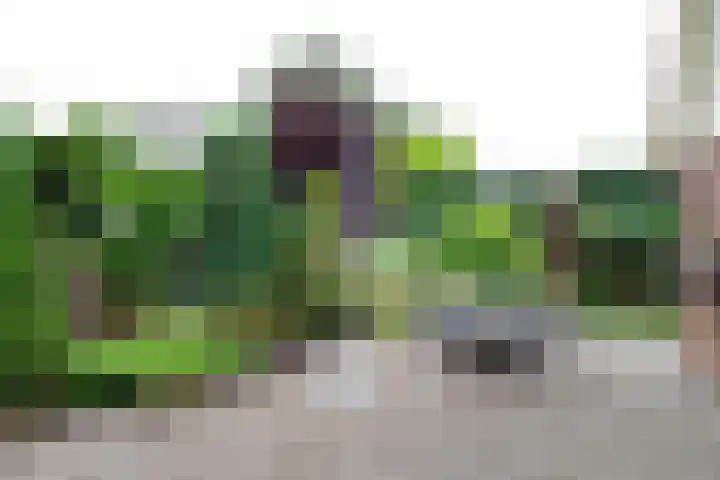 Baltinksweg 15 Nijverdal thumbnail 32