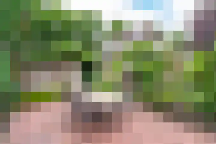 Baltinksweg 15 Nijverdal thumbnail 33