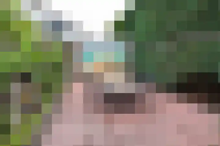 Baltinksweg 15 Nijverdal thumbnail 34