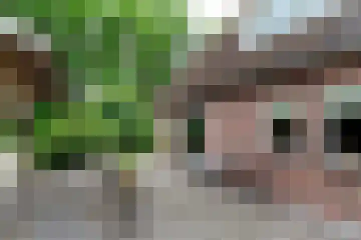 Baltinksweg 15 Nijverdal thumbnail 36