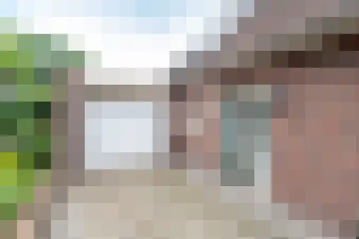 Baltinksweg 15 Nijverdal thumbnail 38