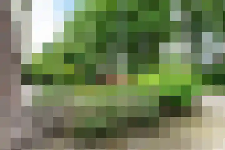 Baltinksweg 15 Nijverdal thumbnail 39