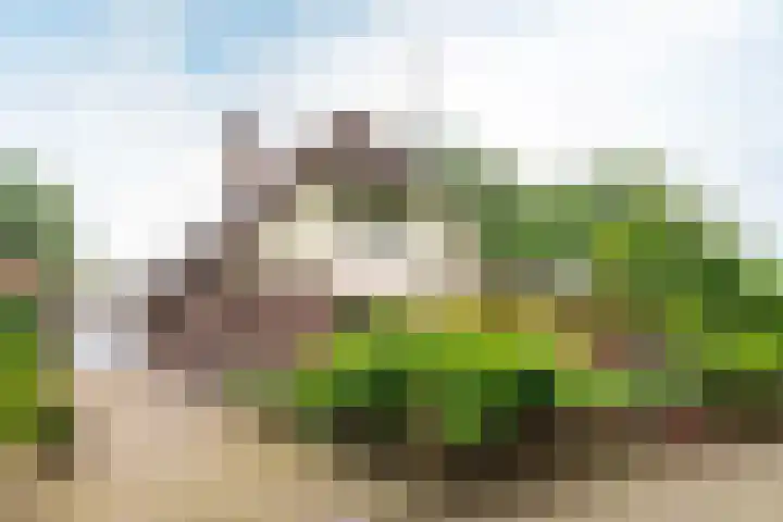 Baltinksweg 15 Nijverdal thumbnail 43