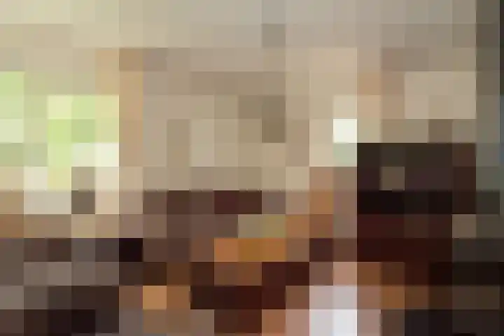 Baltinksweg 15 Nijverdal thumbnail 5