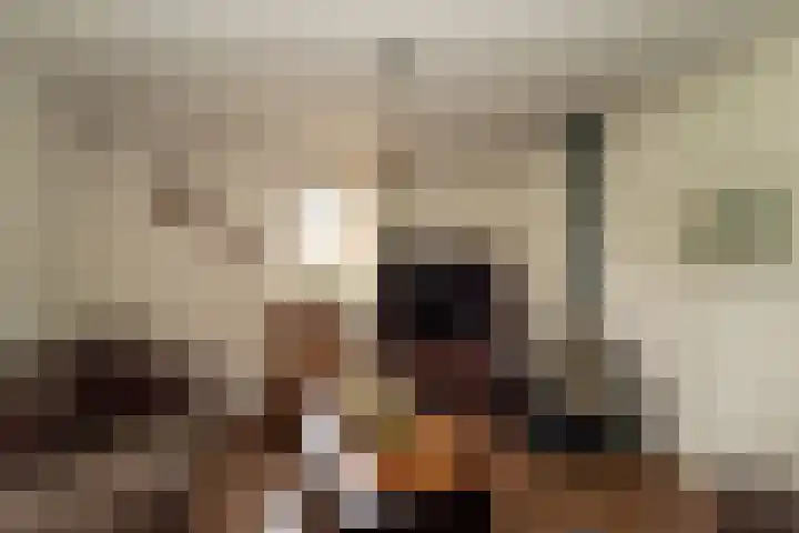 Baltinksweg 15 Nijverdal thumbnail 6