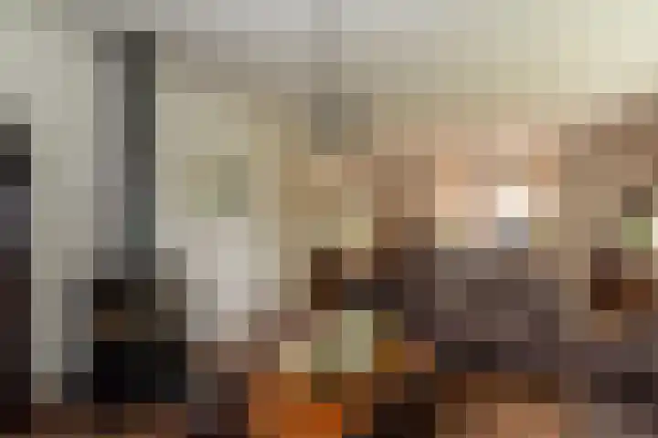 Baltinksweg 15 Nijverdal thumbnail 7