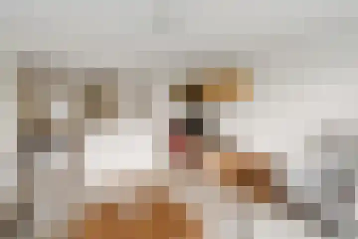 Baltinksweg 31 Nijverdal thumbnail 10