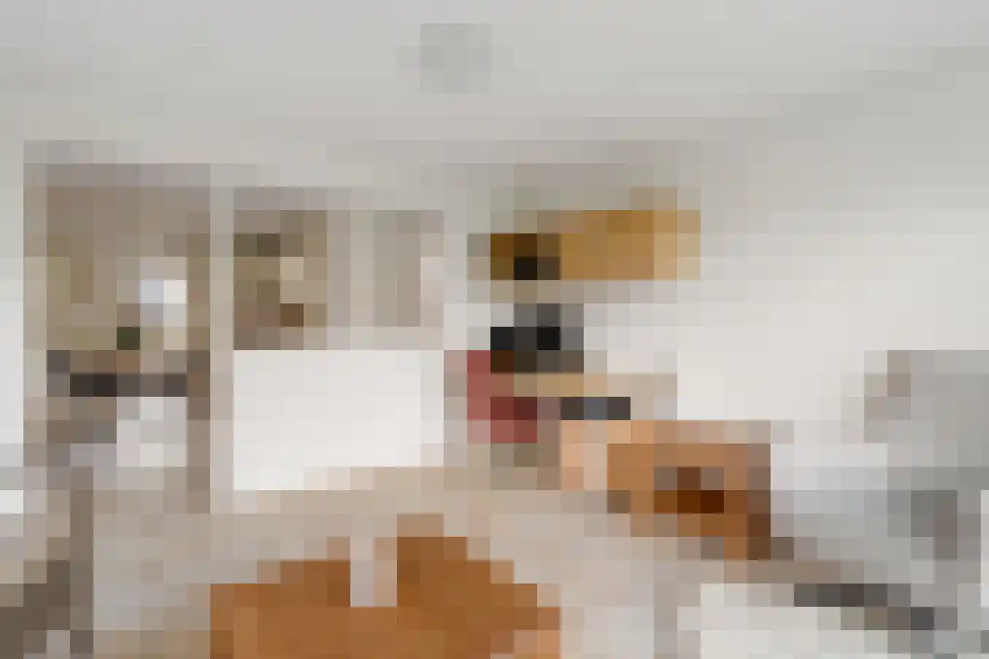 Baltinksweg 31 Nijverdal thumbnail 10