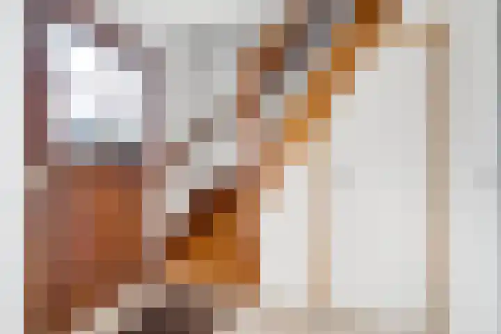 Baltinksweg 31 Nijverdal thumbnail 13