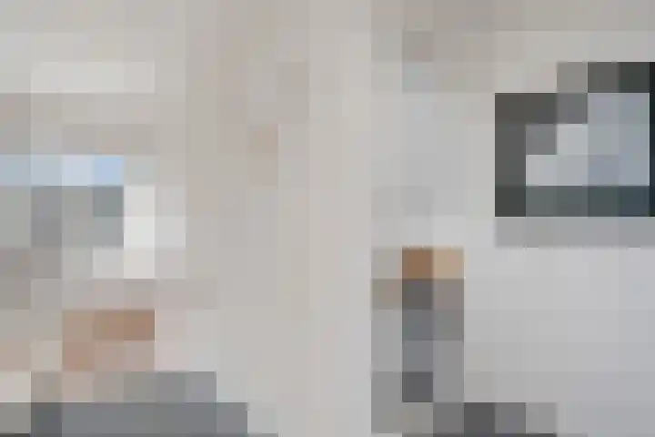 Baltinksweg 31 Nijverdal thumbnail 17