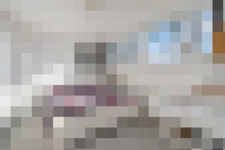 Baltinksweg 31 Nijverdal thumbnail 18