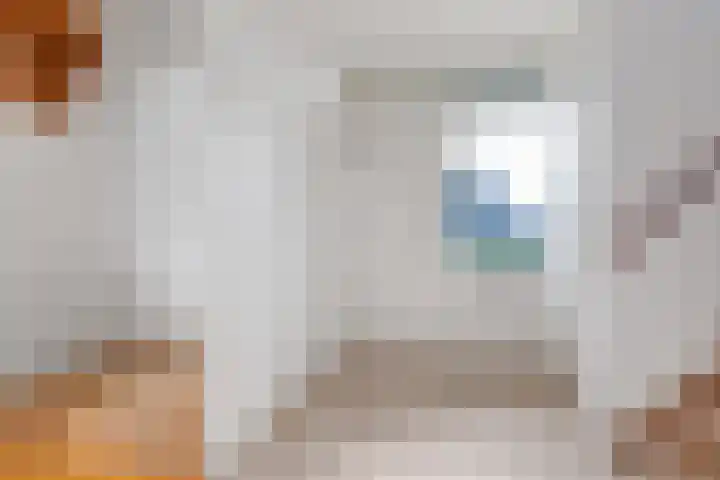 Baltinksweg 31 Nijverdal thumbnail 19