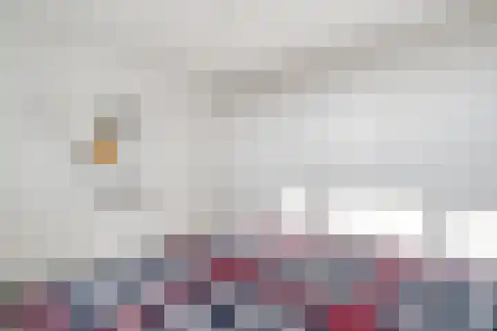 Baltinksweg 31 Nijverdal thumbnail 20