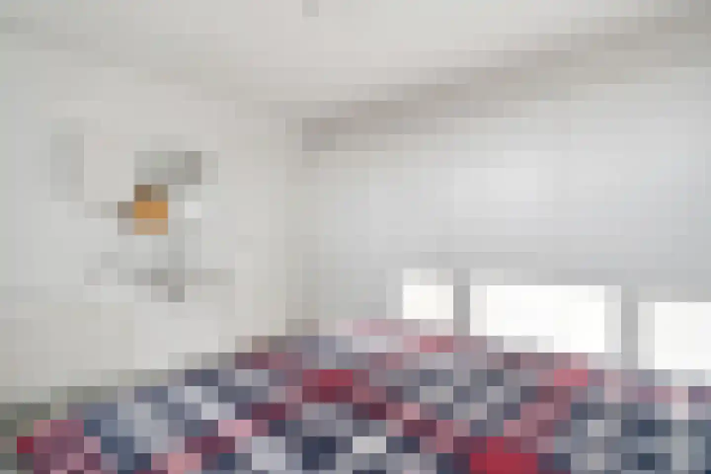 Baltinksweg 31 Nijverdal thumbnail 20