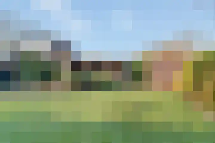 Baltinksweg 31 Nijverdal thumbnail 28