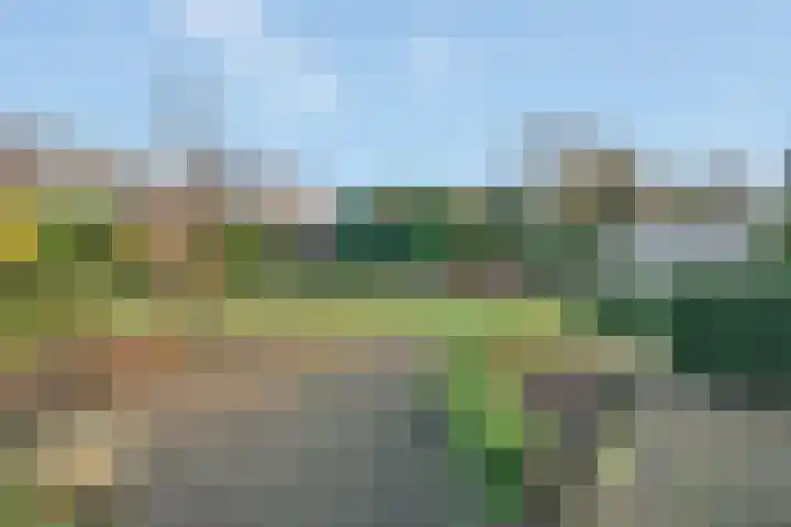 Baltinksweg 31 Nijverdal thumbnail 29