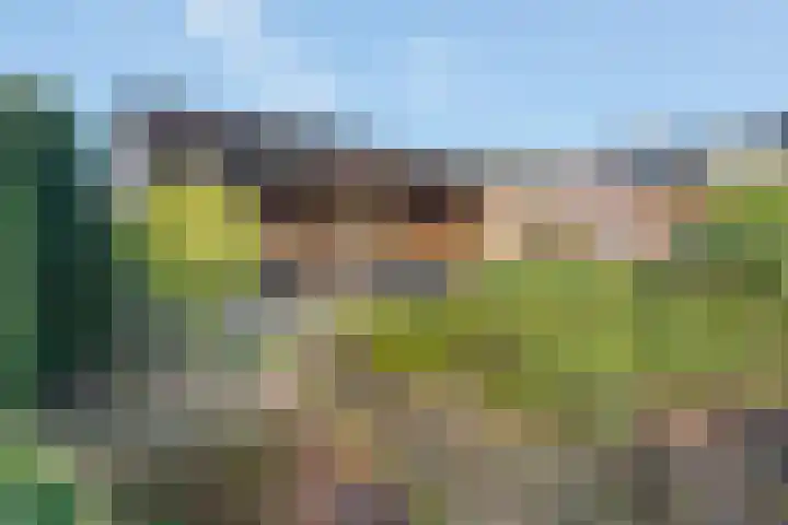 Baltinksweg 31 Nijverdal thumbnail 30