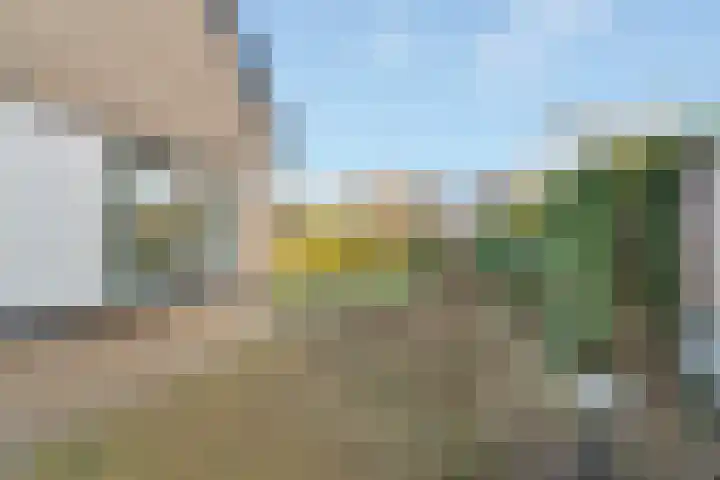 Baltinksweg 31 Nijverdal thumbnail 34