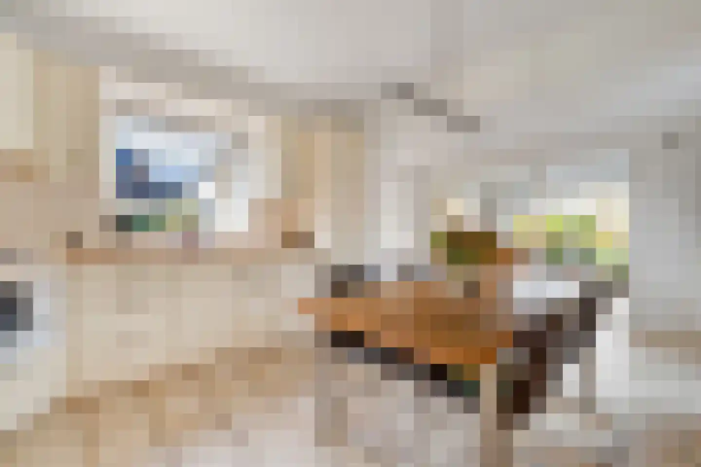 Baltinksweg 31 Nijverdal thumbnail 9