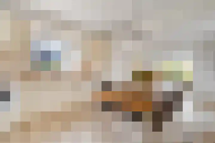 Baltinksweg 31 Nijverdal thumbnail 9
