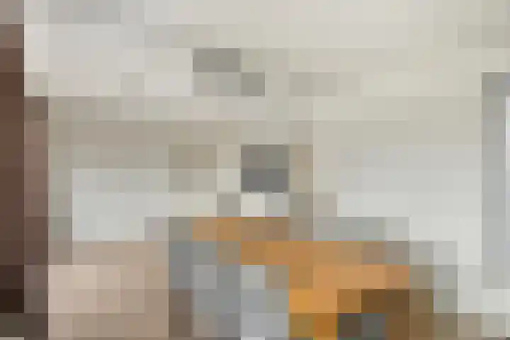 Baltussenweg 21 Driel thumbnail 11