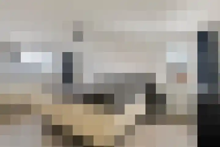 Baltussenweg 21 Driel thumbnail 15